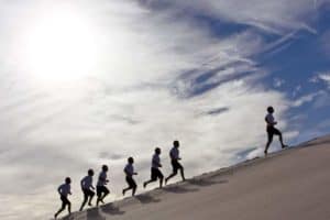 follow the leader