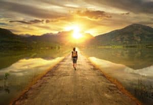look back look forward and execute