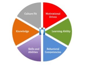 competency framework guideline